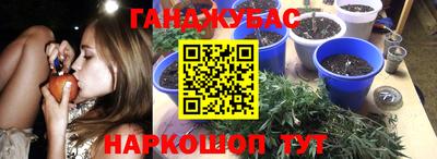 шишки Будённовск